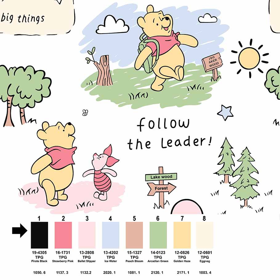 Pooh Adventure